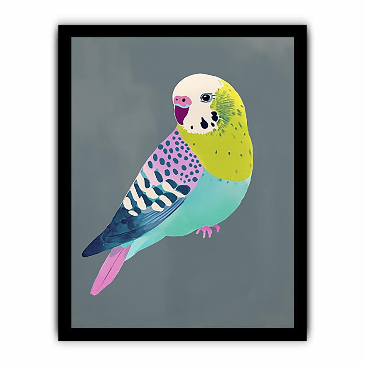 Colorful budgie bird illustration Canvas Print