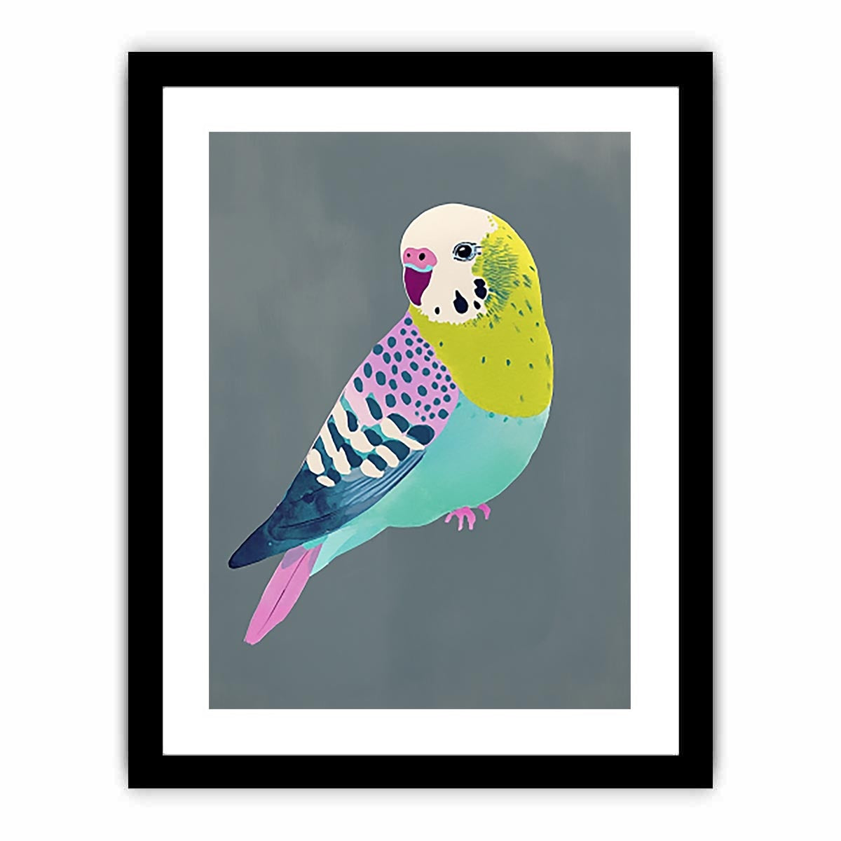 Colorful budgie bird illustration Canvas Print