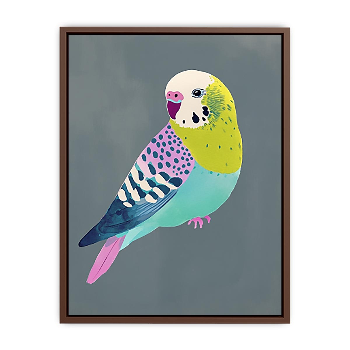 Colorful budgie bird illustration Canvas Print