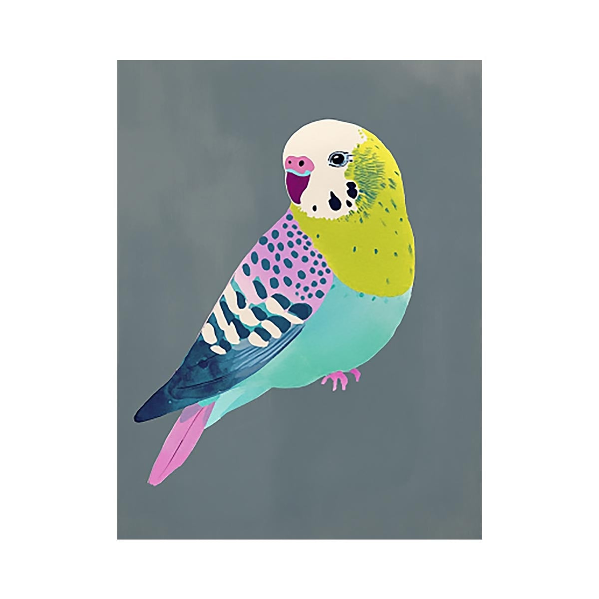 Colorful budgie bird illustration Canvas Print