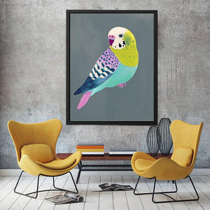 Colorful budgie bird illustration Canvas Print