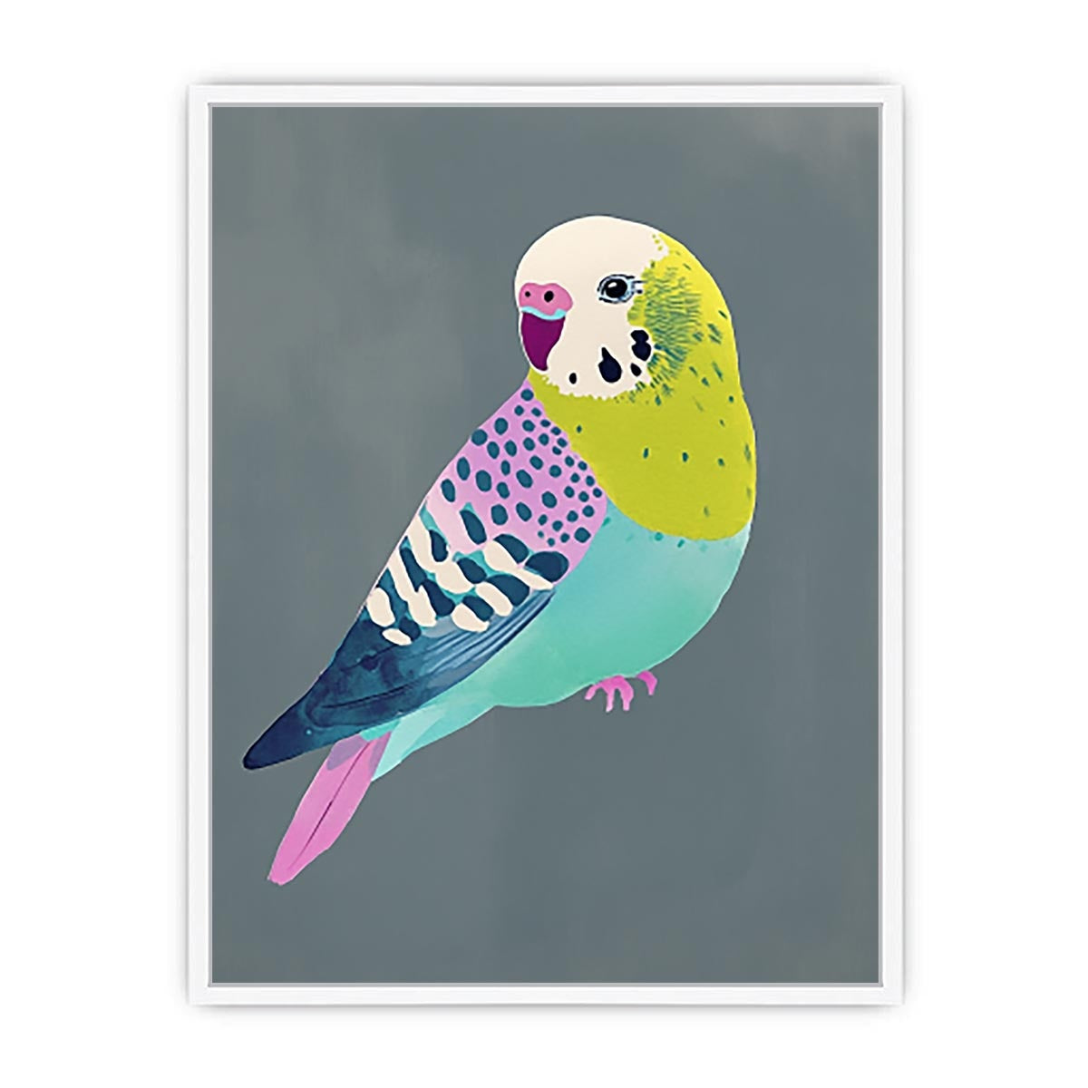 Colorful budgie bird illustration Canvas Print