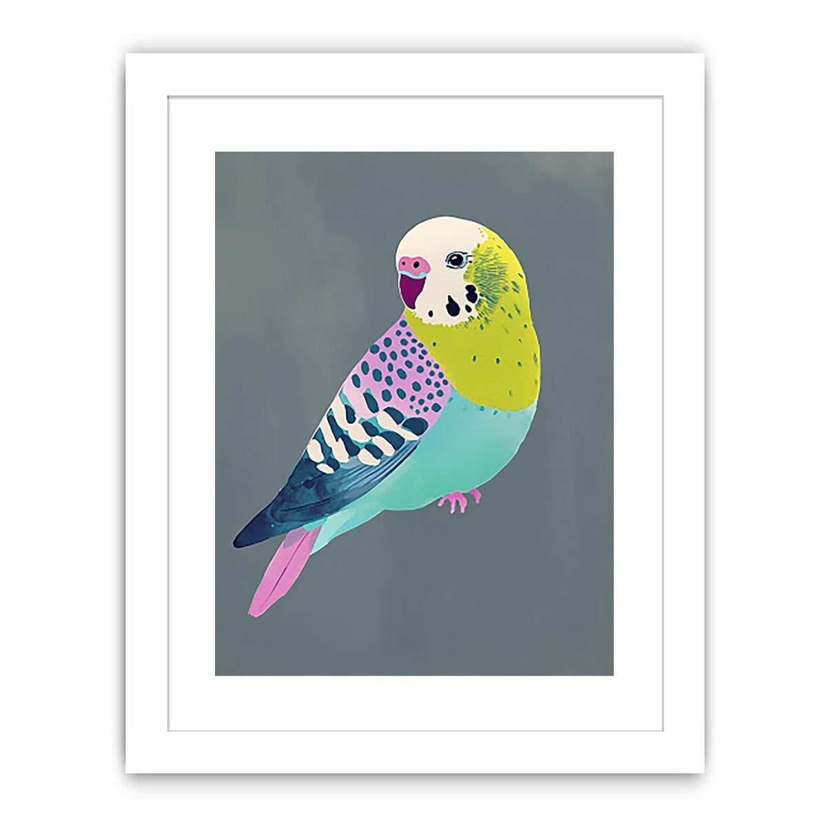 Colorful budgie bird illustration Canvas Print