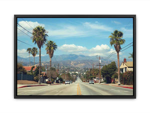 Palm tree boulevard