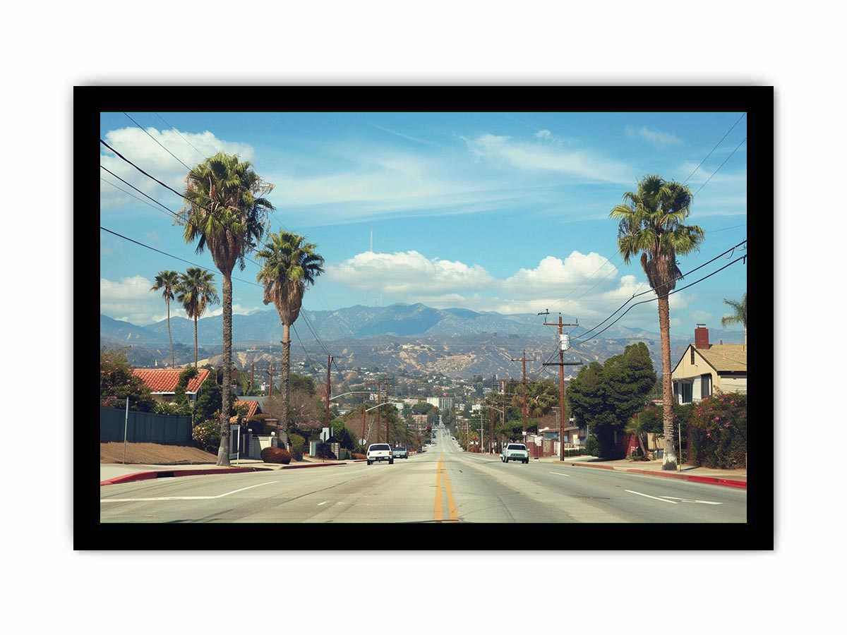 Palm tree boulevard