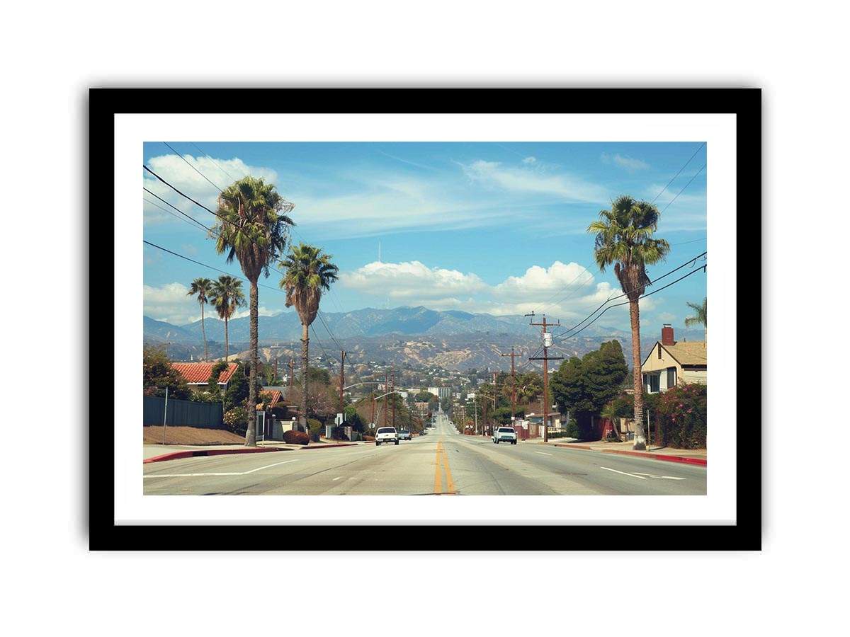 Palm tree boulevard