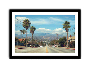 Palm tree boulevard