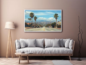 Palm tree boulevard