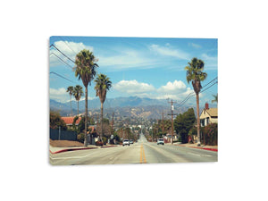 Palm tree boulevard