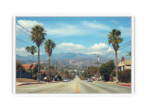 Palm tree boulevard