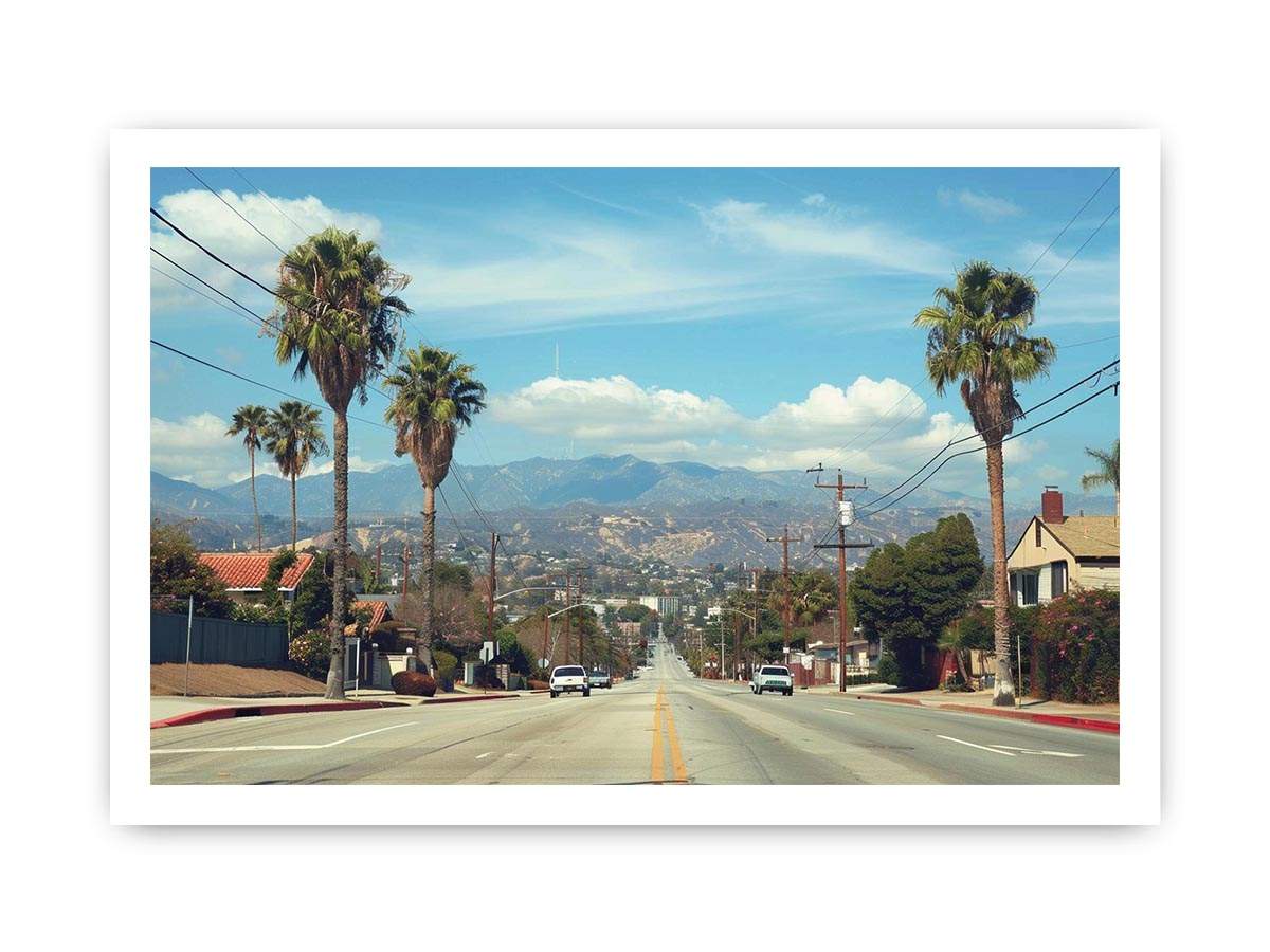 Palm tree boulevard