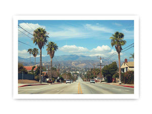 Palm tree boulevard