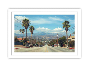 Palm tree boulevard