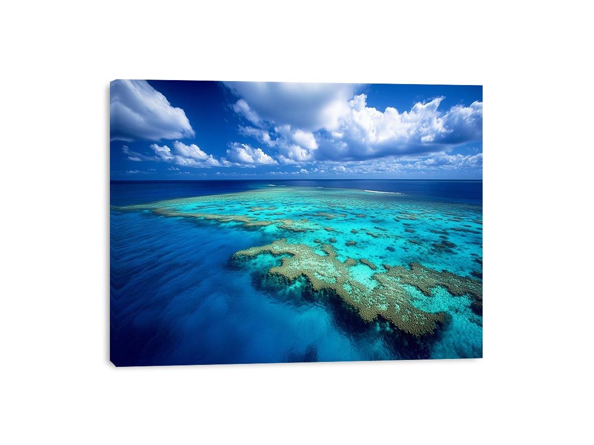 Aerial ocean reef