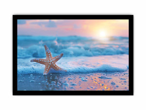 Starfish beach