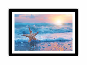 Starfish beach