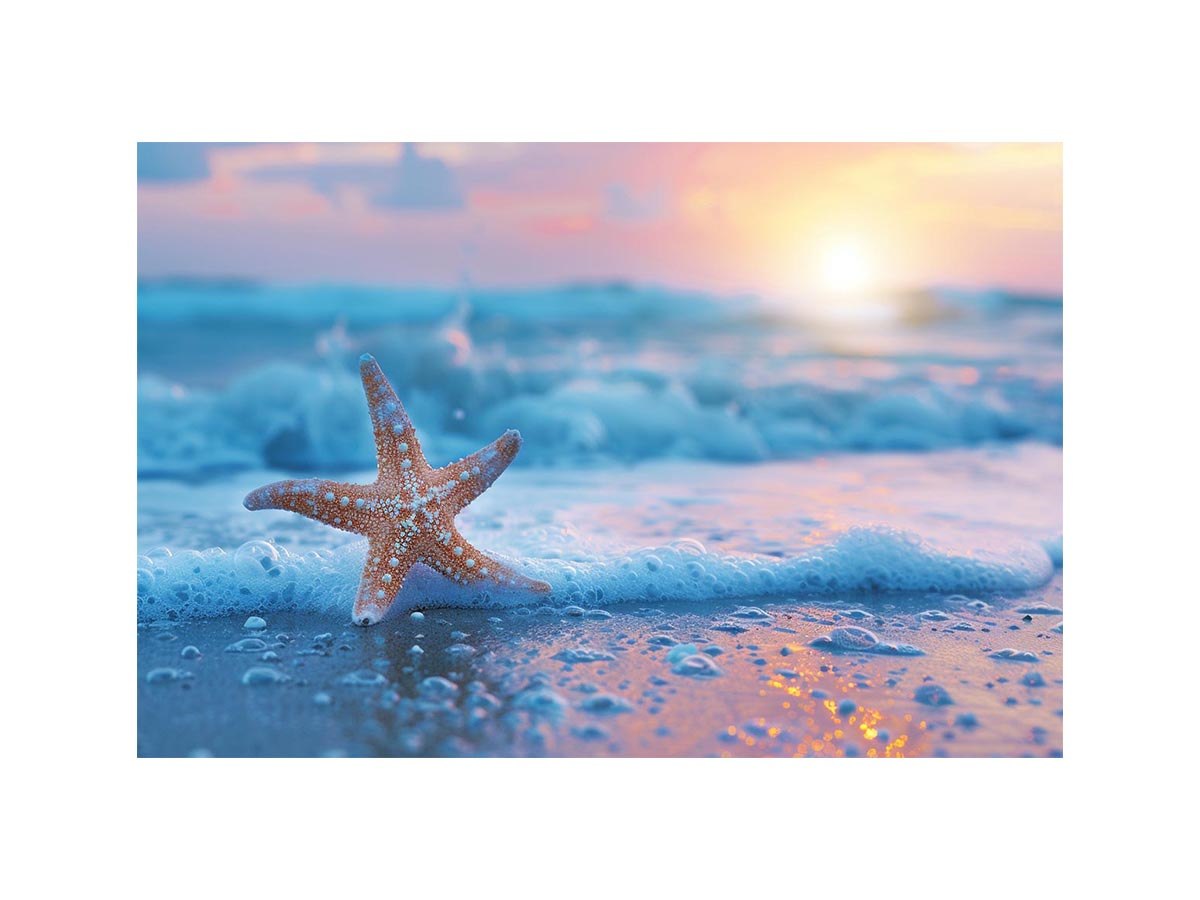 Starfish beach