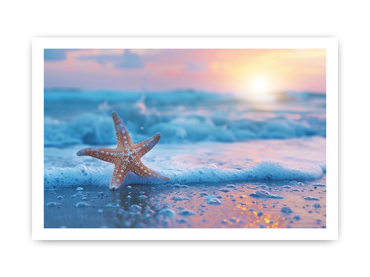 Starfish beach