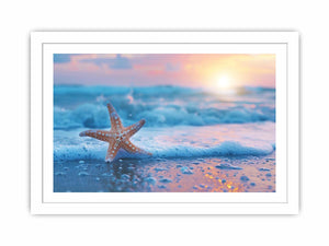 Starfish beach