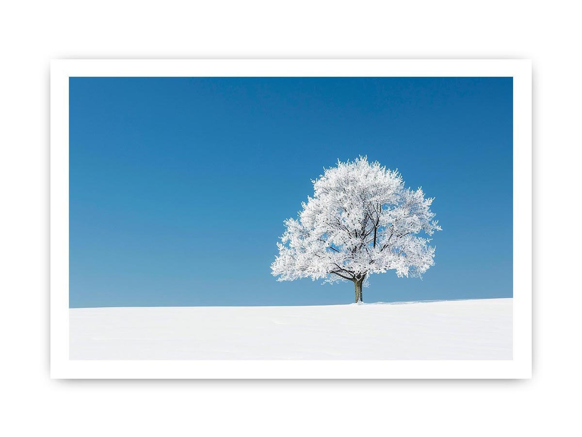Minimal winter tree Canvas Print