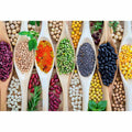 Colorful beans and spices artwork