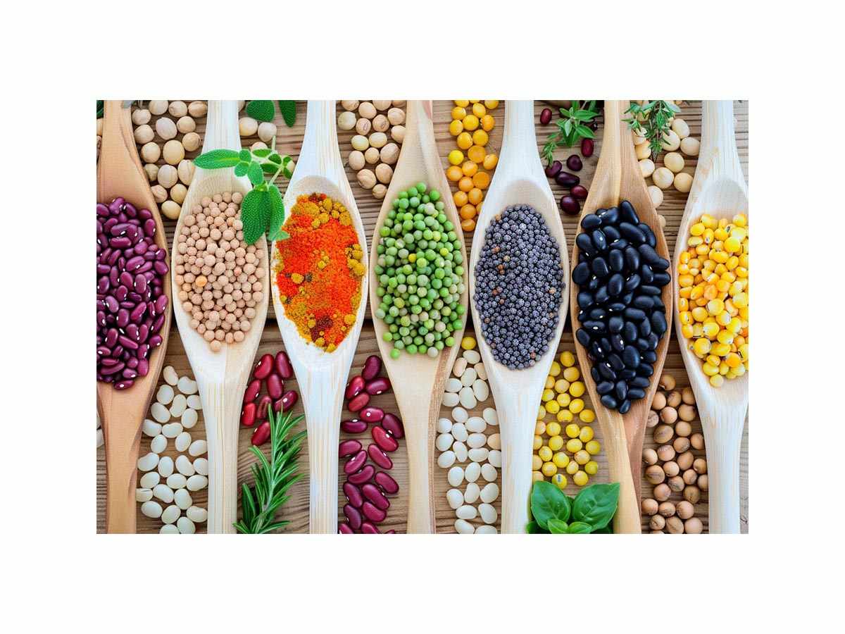 Colorful beans and spices artwork