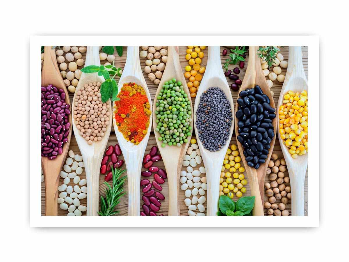 Colorful beans and spices artwork