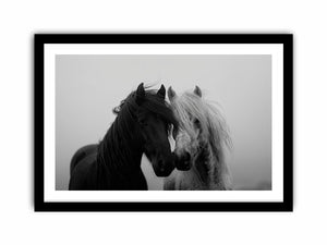 Black and white horse portrait artwork