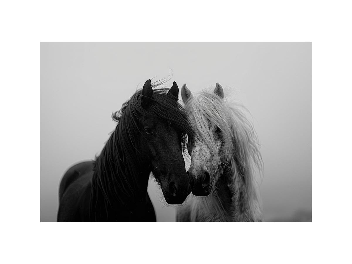 Twin Spirits