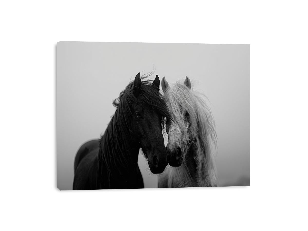 Black and white horse portrait artwork