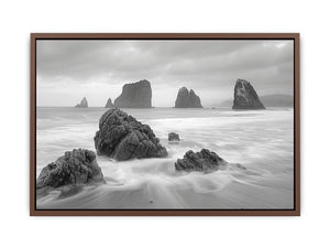 Black and white coastal landscape