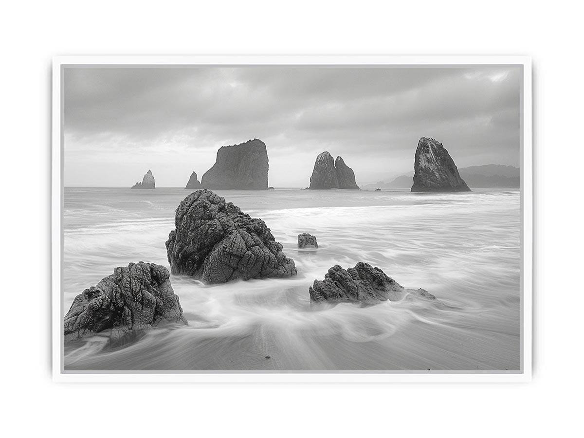 Black and white coastal landscape