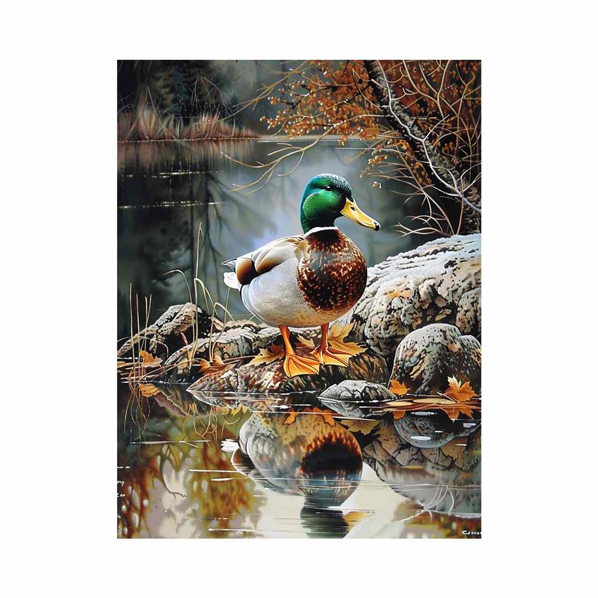 Duck by lakeside reflection artwork for peaceful nature-inspired decor