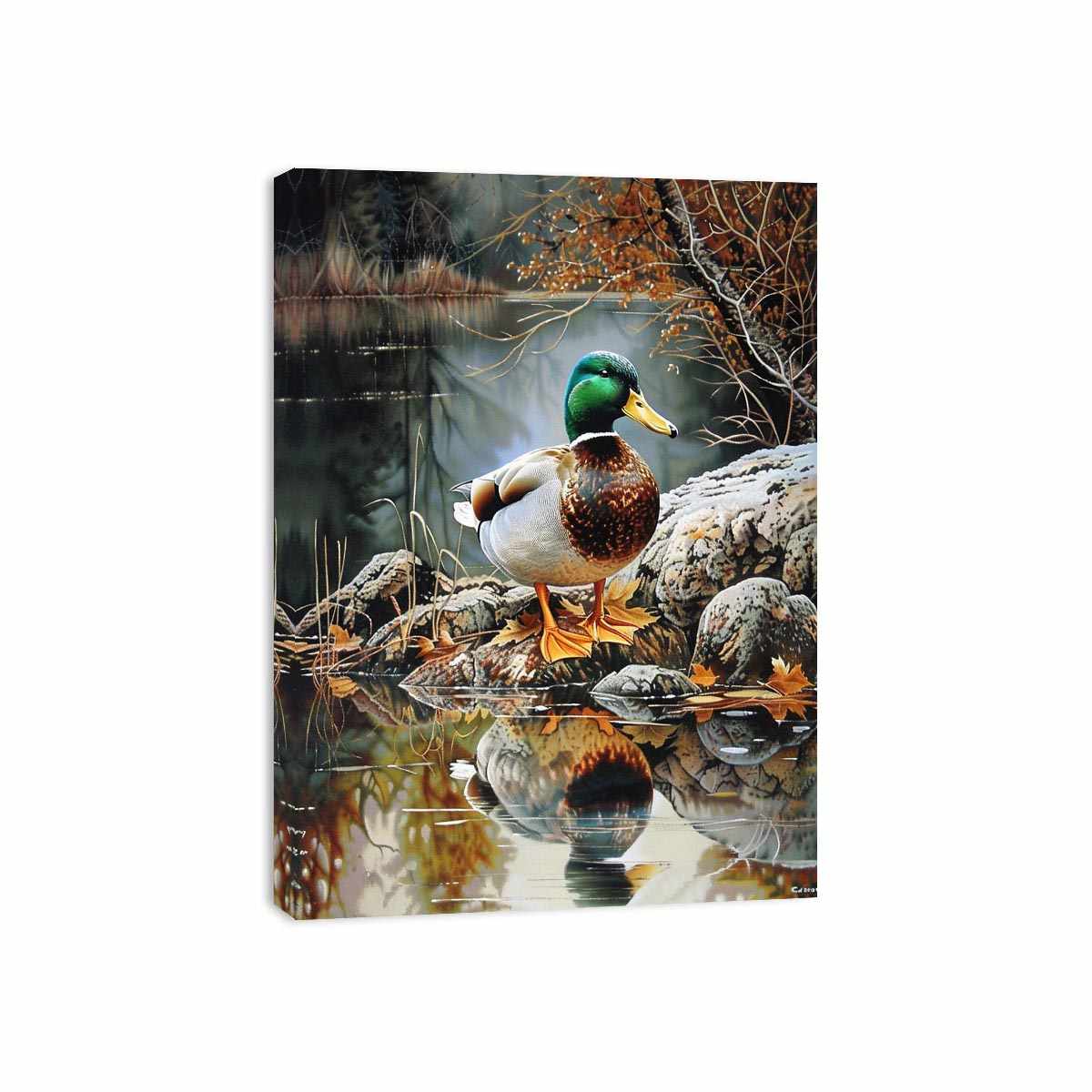 Duck by lakeside reflection artwork