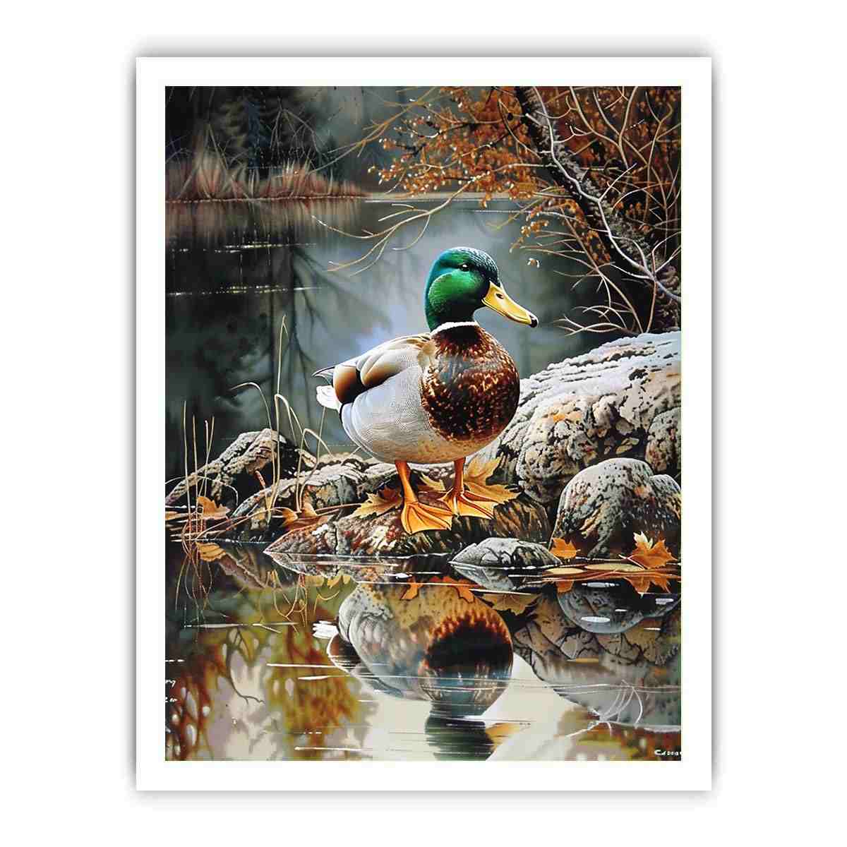 Duck by lakeside reflection artwork