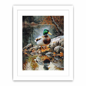 Duck by lakeside reflection artwork