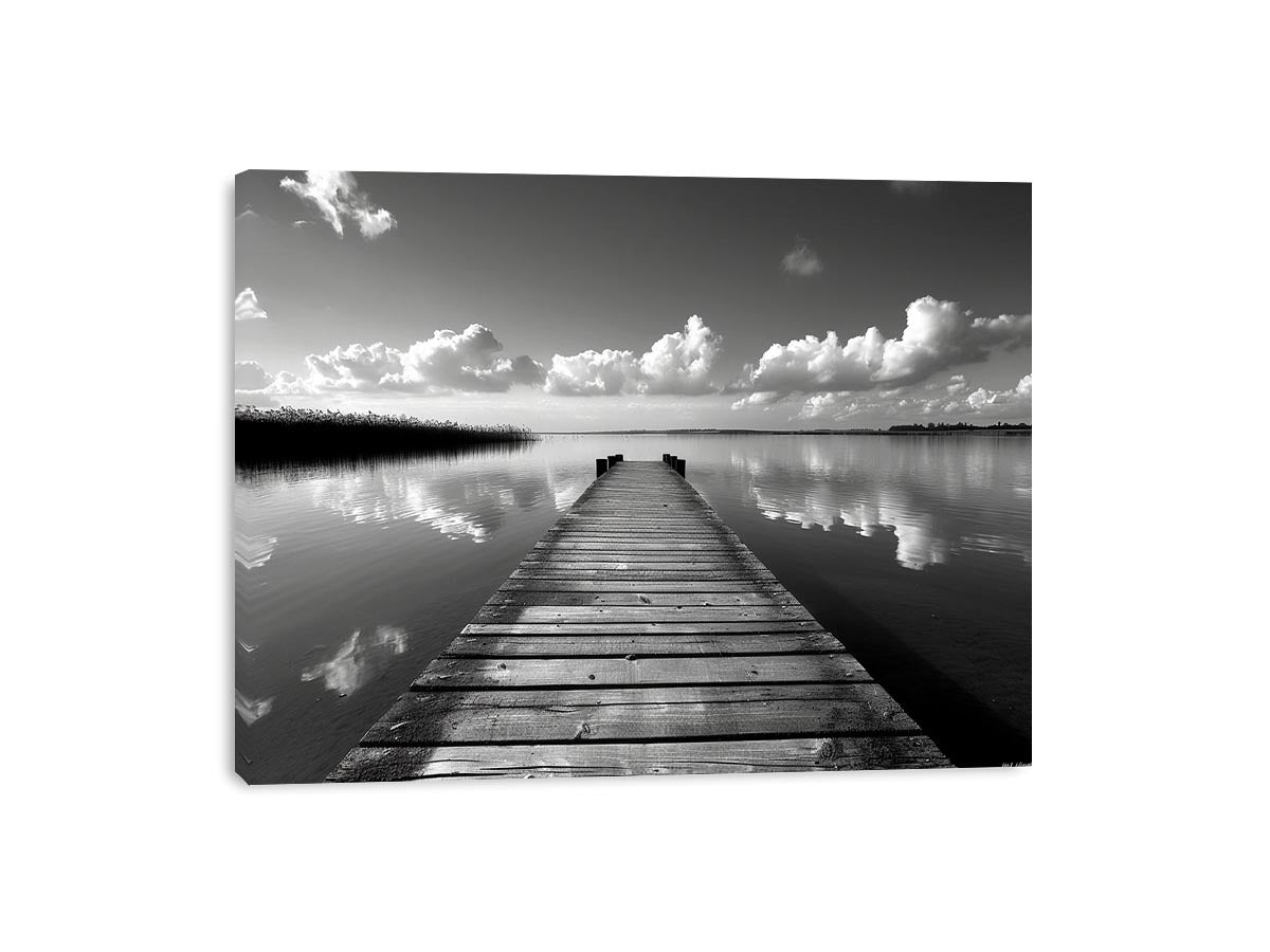 Black and white pier landscape