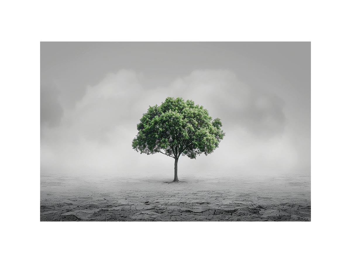 Minimal lone green tree Canvas Print