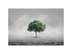 Minimal lone green tree Canvas Print