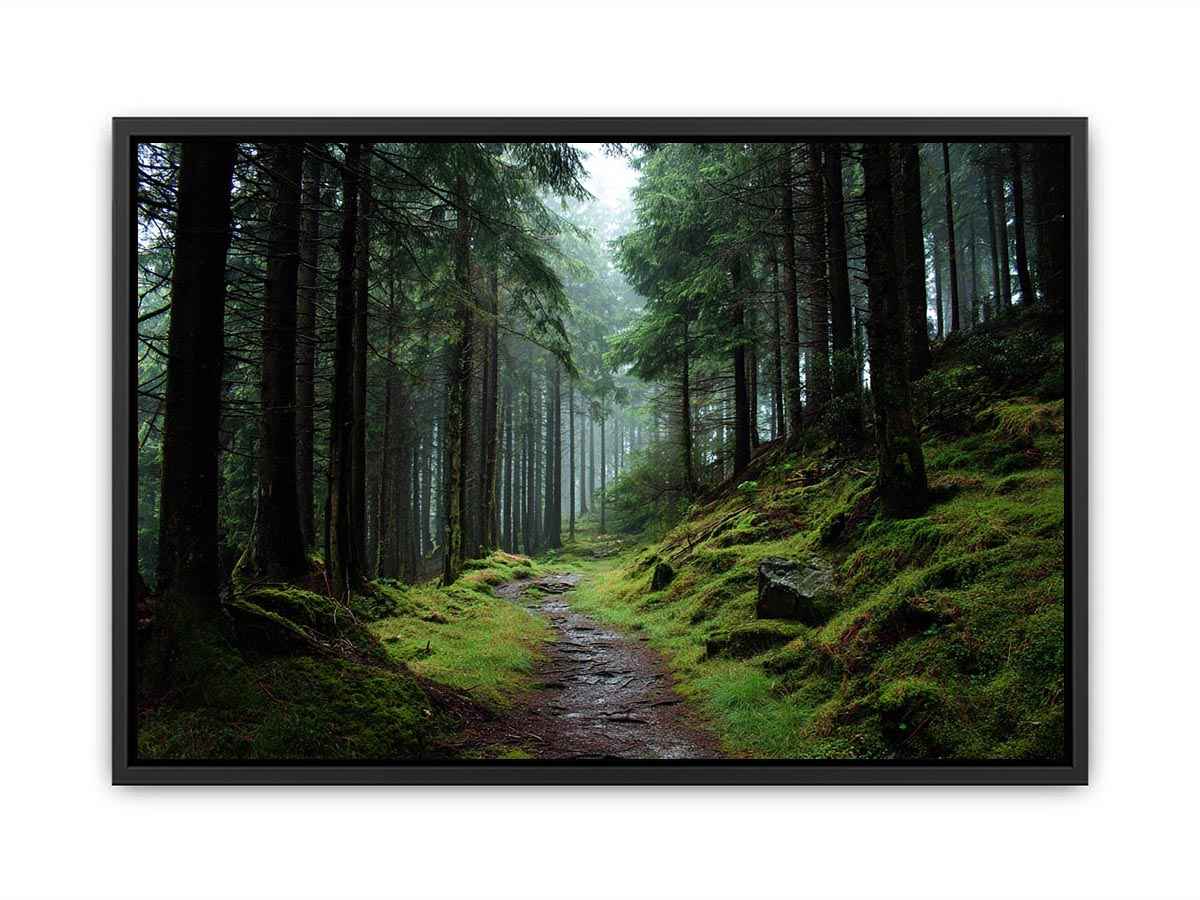 Misty forest path canvas