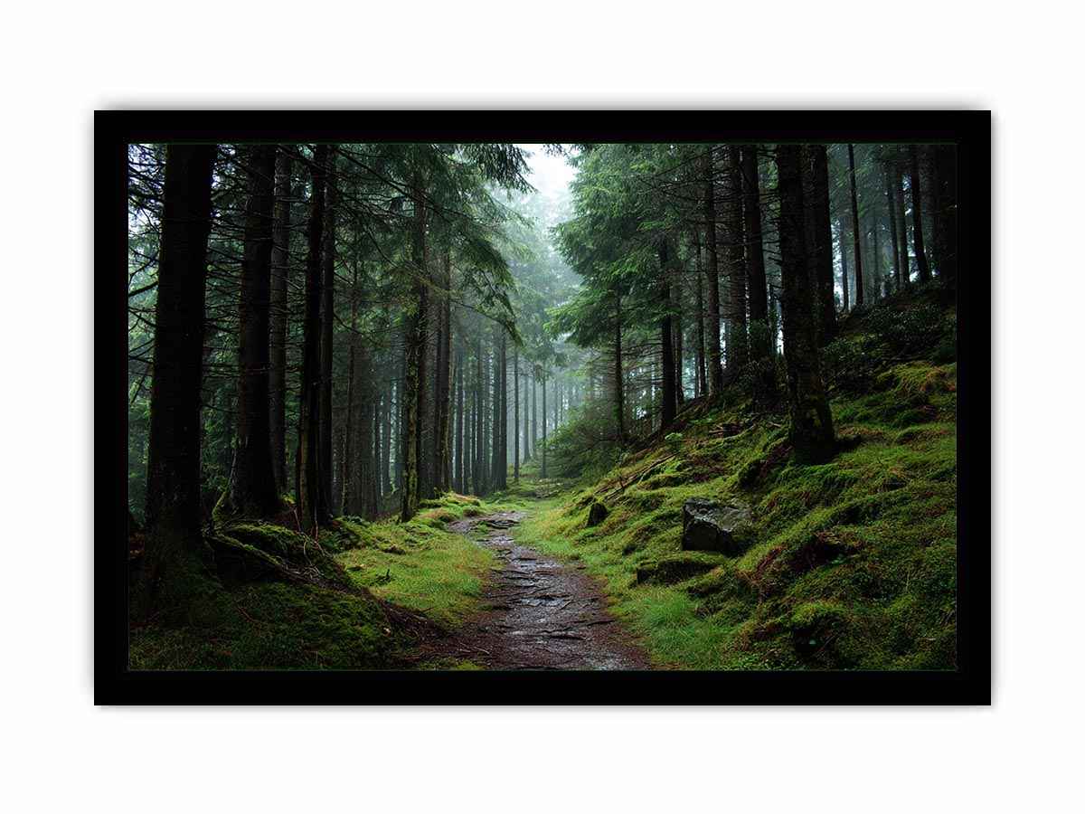 Misty forest path canvas