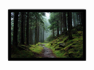 Misty forest path canvas