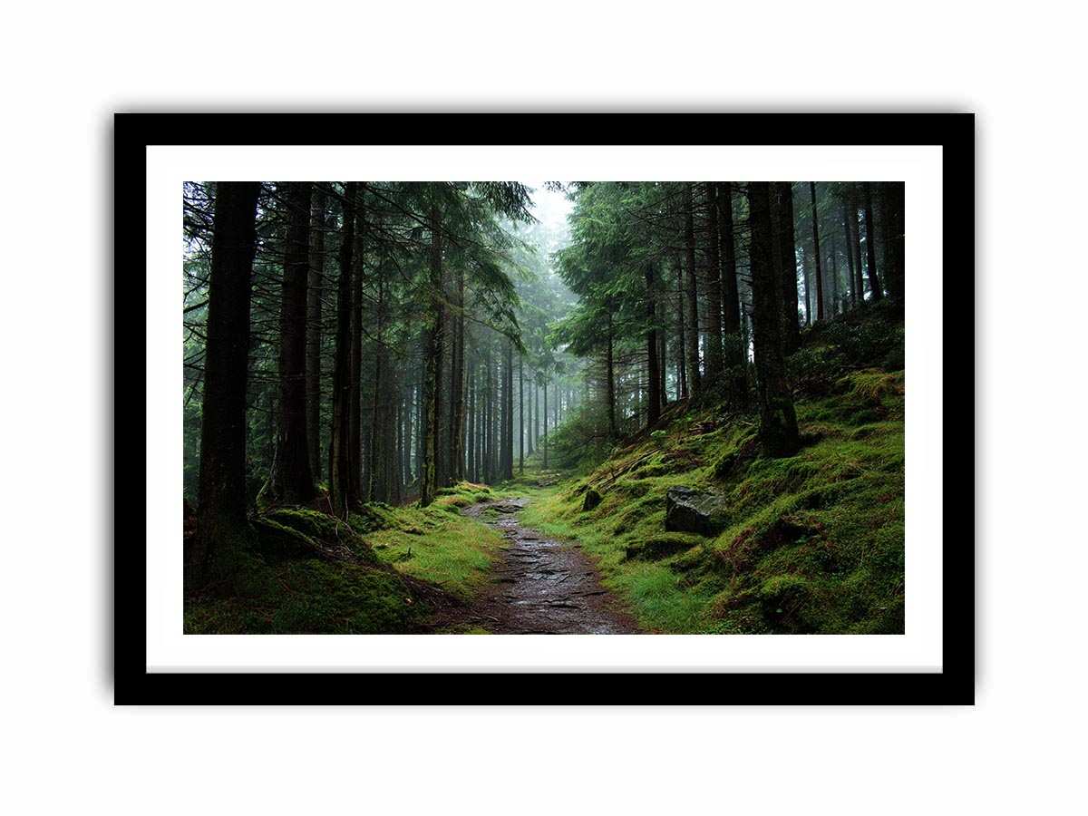 Misty forest path canvas