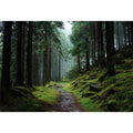 Misty forest path canvas