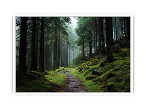 Misty forest path canvas