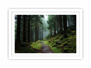 Misty forest path canvas