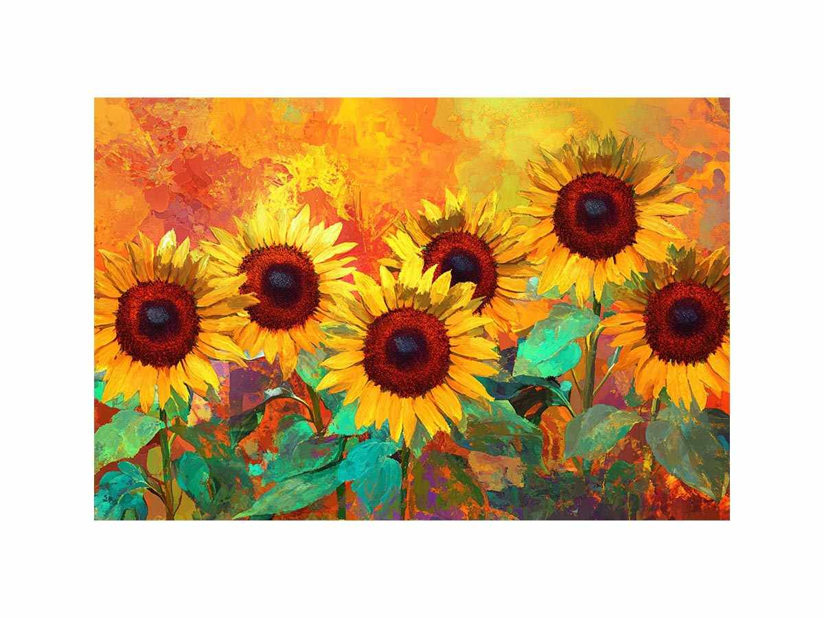 Sunflowers At Rest