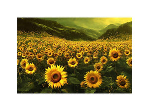 Panoramic sunflower valley landscape canvas art for a calm modern living room.