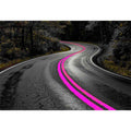 Dark forest road Canvas Print with neon pink lines