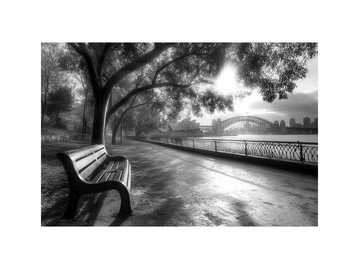 Black and white Sydney harbour panoramic photography for office wall decor.